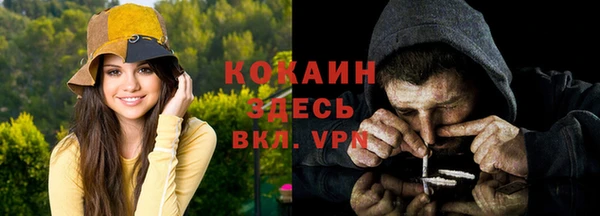 дживик Надым