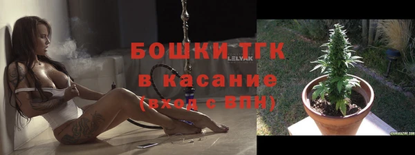 дживик Надым