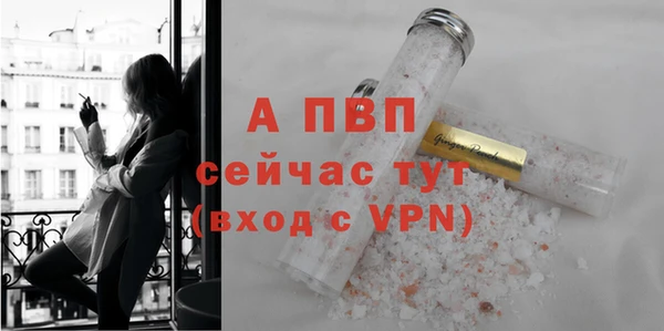 дживик Надым