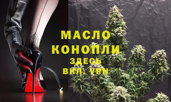 дживик Надым
