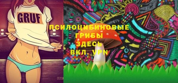 дживик Надым
