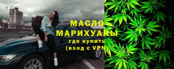 дживик Надым