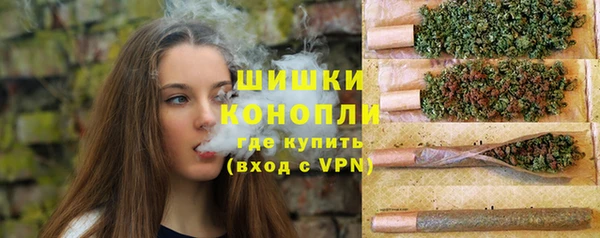 дживик Надым