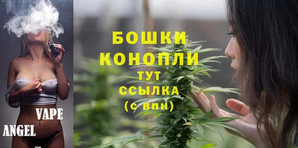 дживик Надым