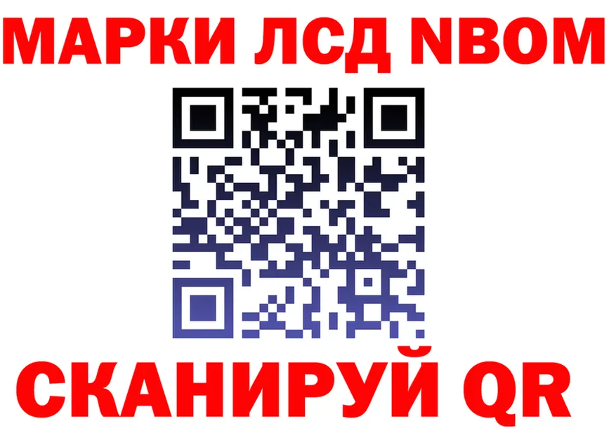 APVP СК вход площадка omg Спас-Клепики